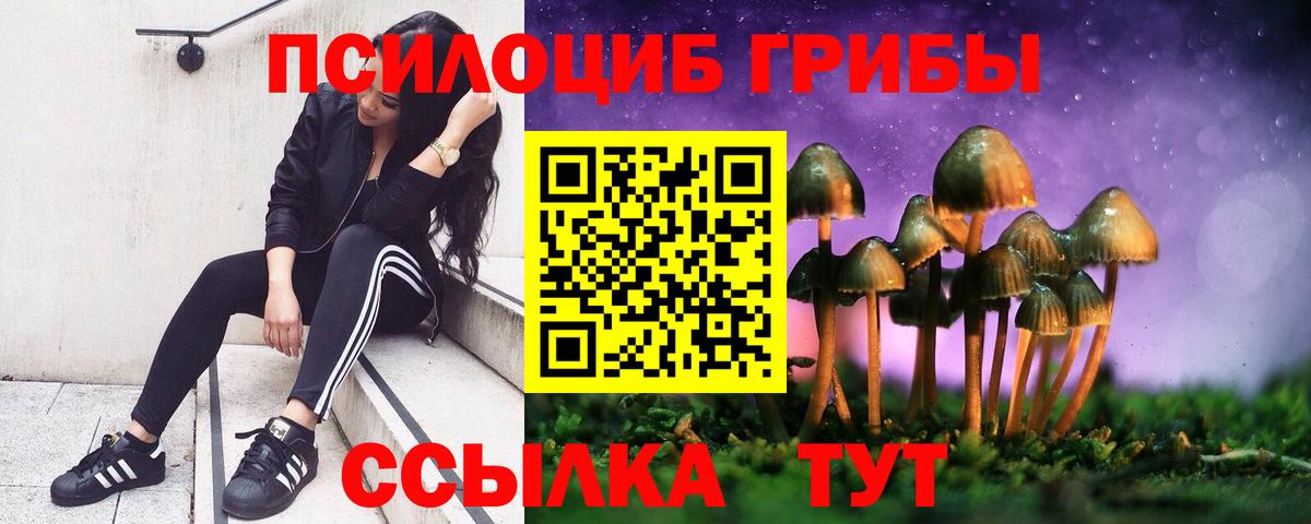 Псков  Галлюциногенные грибы Cubensis  Вход с VPN 